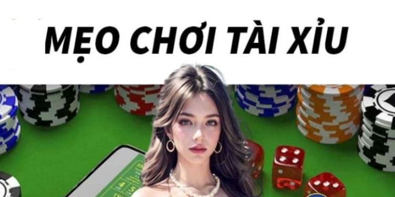 Mẹo chơi tài xỉu xin88