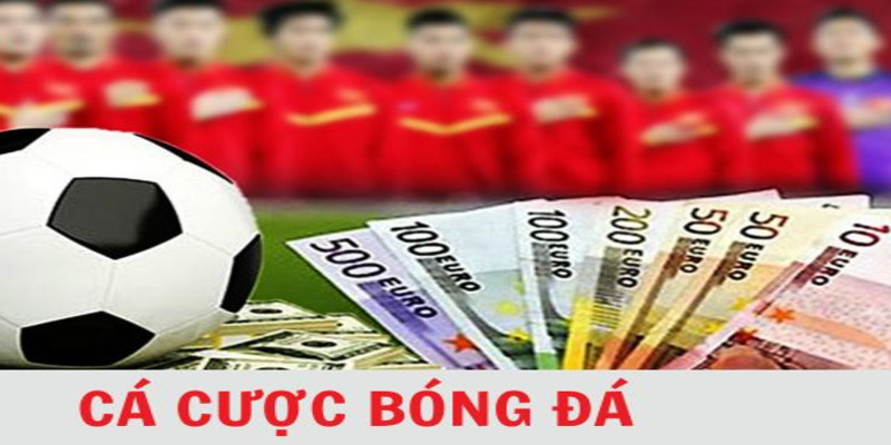 Cá cược bóng đá trên Xin88 thể thao