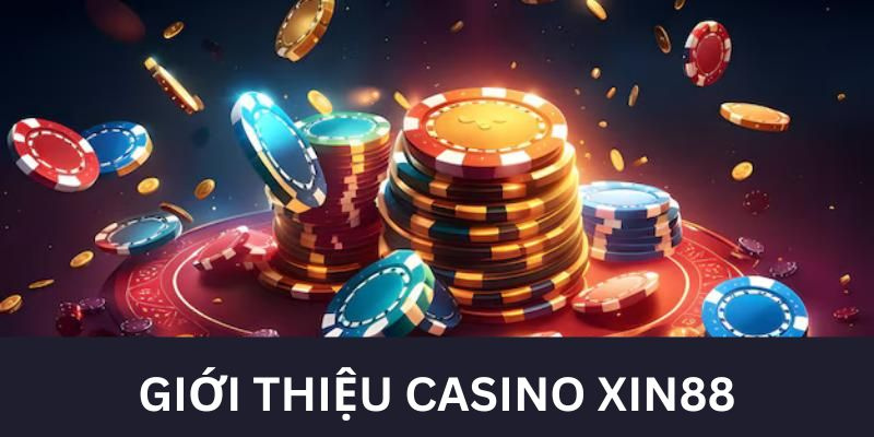 Xin88 Casino - Thể loại game bài nổi tiếng 2024