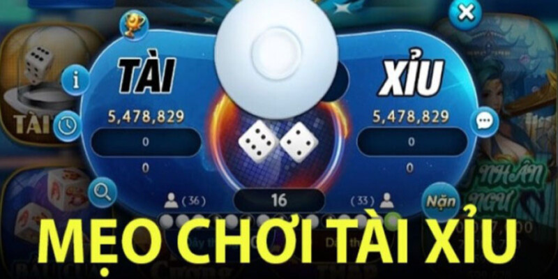 Mẹo chơi tài xỉu cho hội viên Xin88